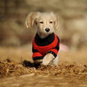 Animal Clothing & Accessories Manufacturers