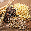Cereals & Food Grains Manufacturers and Suppliers