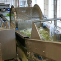 Fruit & Vegetable Processing Machine Manufacturers